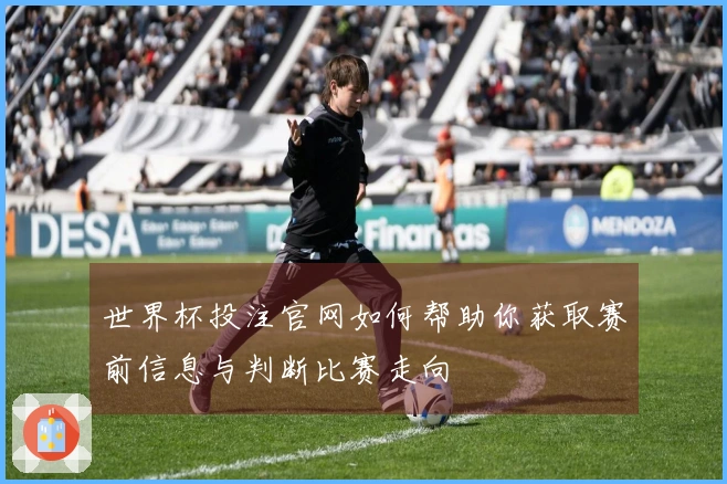 世界杯投注官网如何帮助你获取赛前信息与判断比赛走向