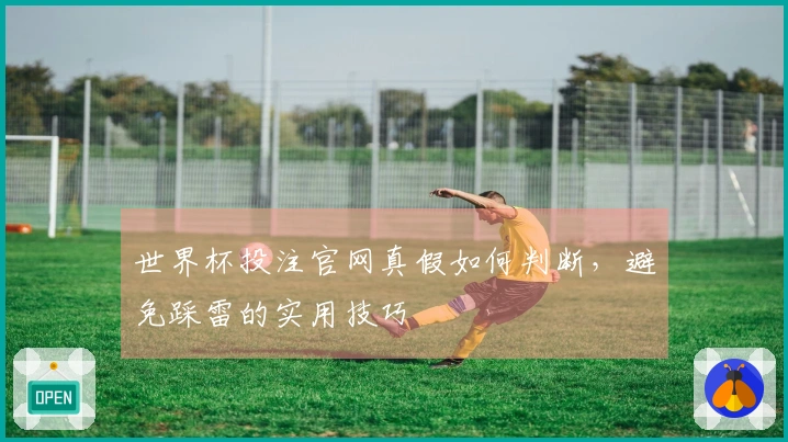 世界杯投注官网真假如何判断，避免踩雷的实用技巧