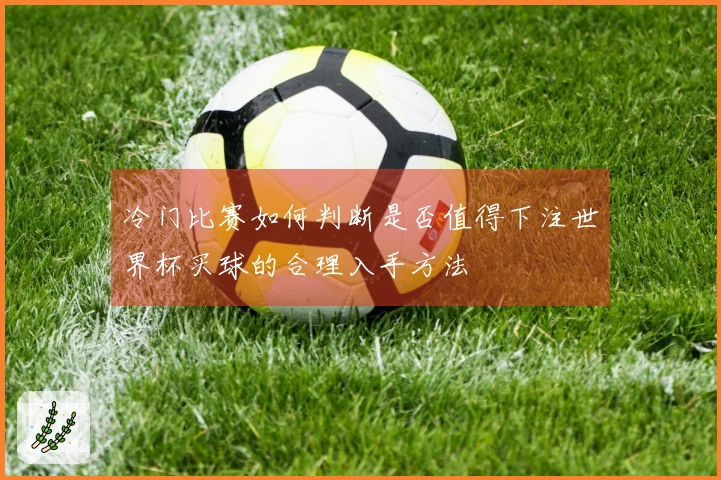冷门比赛如何判断是否值得下注世界杯买球的合理入手方法