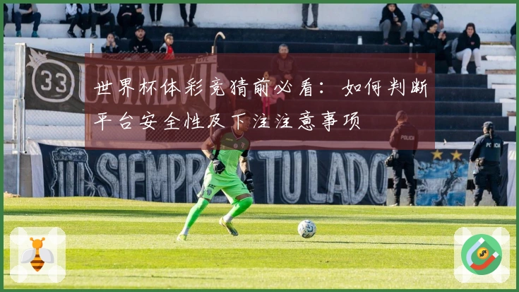 世界杯体彩竞猜前必看：如何判断平台安全性及下注注意事项